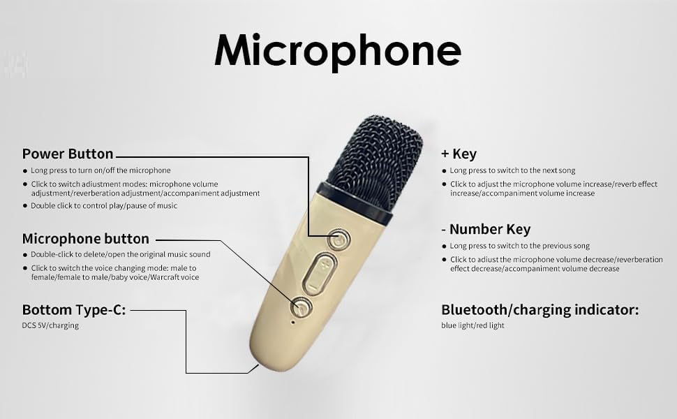 Wireless Karaoke Speaker With Mic